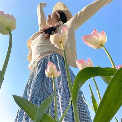 设德兰群岛